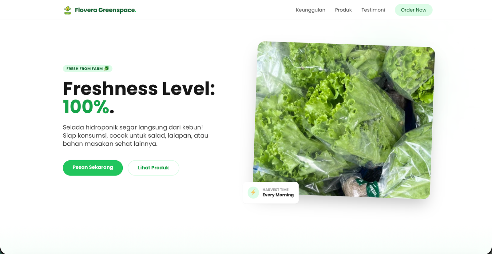 Flovera Greenspace Selada Hidroponik